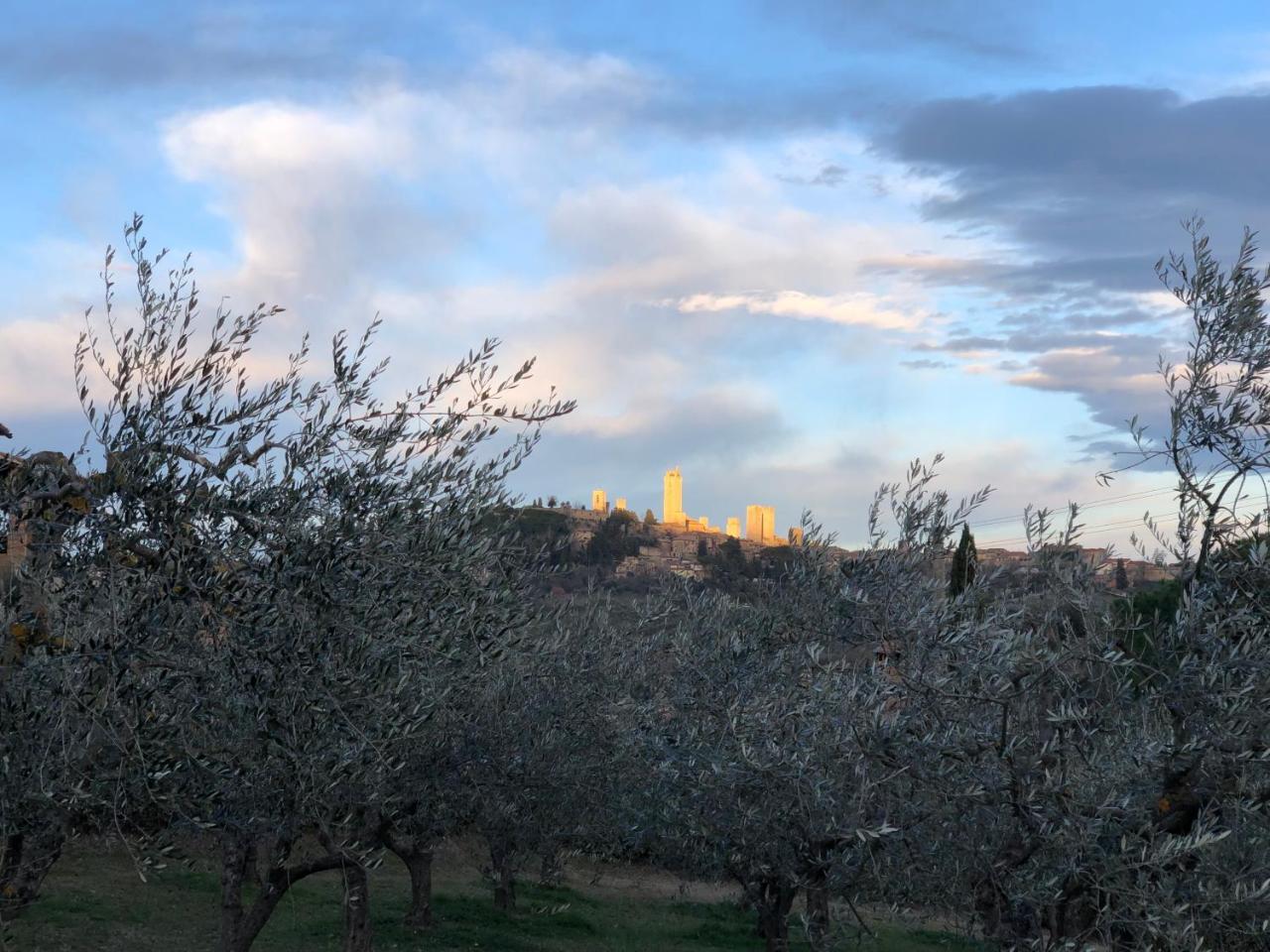 Podere Bellavista San Gimignano Luaran gambar